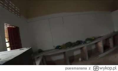 puesmanana - Wy też macie w domu betomeble i kratoszyby?
#raportzpanstwasrodka