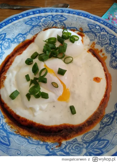 maegalcarwen - Bajo jajo tureckie, do tego cebularz prawilny z zamojskiego społema #g...