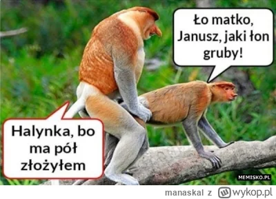 manaskal - @ryhu: ja lubię grube
