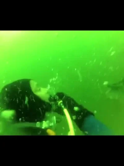 cheeseandonion - Terrifying moment caught on camera when diver begins to have a panic...