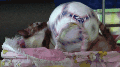 wfyokyga - Kiciu technika lepsza niż niejeden kadrowicz xD
#mecz #koty