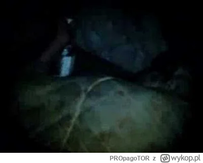 PROpagoTOR - @justlooking5: Przeprowadzona zostala zaawansowana symulacja. Wynikiem s...