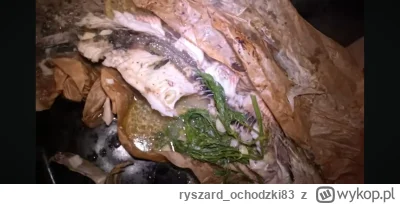 ryszard_ochodzki83 - #papasmerfik
Rybka z..kupą...mmm