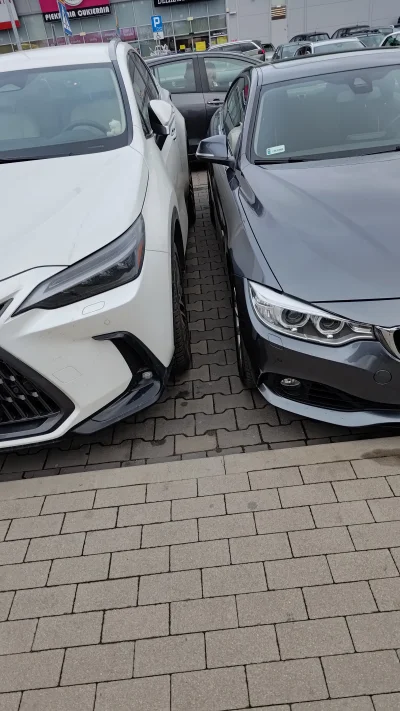 Atypical - Sobie elegancko BMW zaparkował w wyznaczonych liniach ( ͡° ͜ʖ ͡°)
Chłopaki...