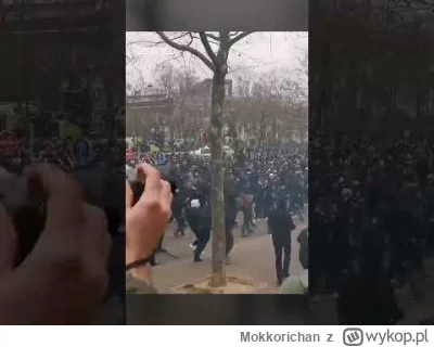 Mokkorichan - #napierala We Francji stabilnie, tydzień bez burd tygodniem straconym