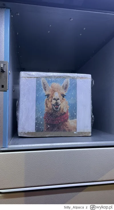 Silly_Alpaca - (╭☞σ ͜ʖσ)╭☞