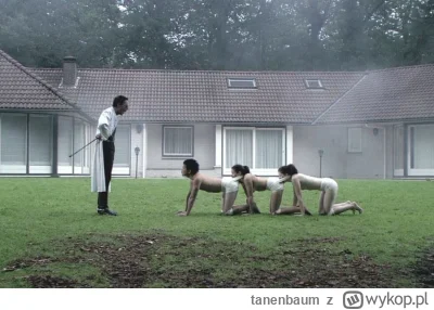 tanenbaum - @SebaWayneFAS: