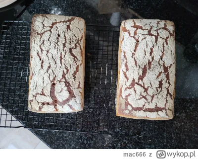 mac666 - Żytniak z mąki pytlowej z siemieniem lnianym. 

#chleb #bojowkapiekarska #go...