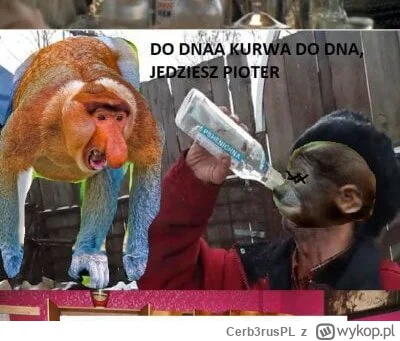 Cerb3rusPL - #konkursnanajbardziejgownianymemznosaczem