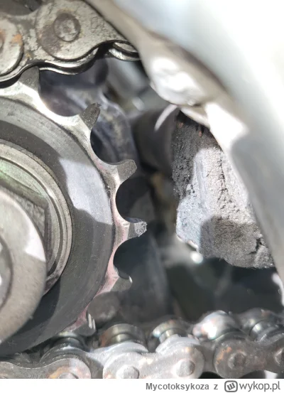 Mycotoksykoza - #motocykle 
Potrzebuję opinii - śmietnik?