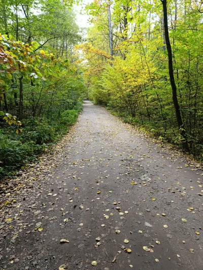 ryoku88 - #przegryw huop typu jesieniara, zapale se śmiesznego papieroska no bo co. J...