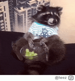 heez - @VigoVonHomburg_Deutschendorf tak trzeba żyć