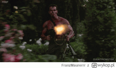 FranzMaurerrr - Przydałaby się armia takich Schwarzeneggerów na granicy ( ͡° ͜ʖ ͡°)