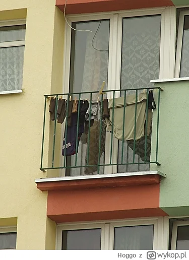 Hoggo - @Schizotypoidal: tymczasem nasz balkon