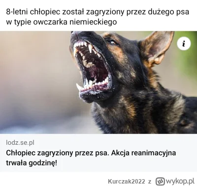 K.....2 - przypomnijmy jakiej rasy był pies wykopki. OWCZAREK NIEMIECKI, poraz kolejn...