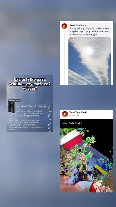 PavulonRazPavulonDwa - Piękne kombo, zielony zakątek, ziola i tym podobne rzeczy, szu...