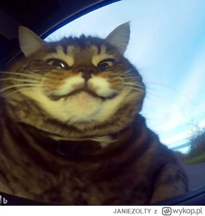 JANIEZOLTY - #aikitku