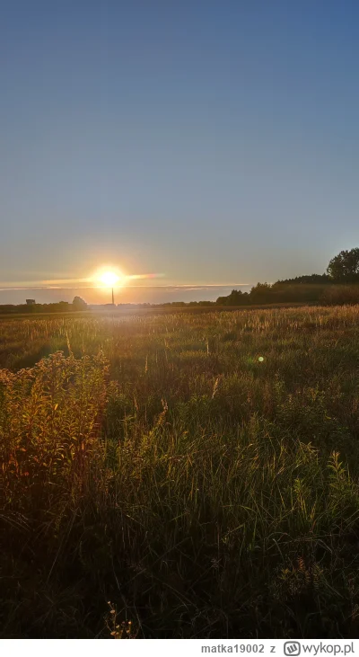 matka19002 - 601 294 + 71 + 64 + 53 = 601 482

Grewal głównie.

#rowerowyrownik

Skry...