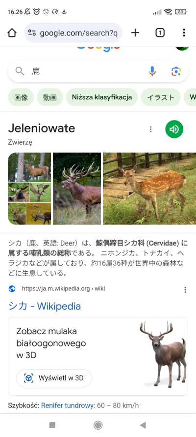 Monsieur_V - Japończycy jak wpiszą np. jeleń w google to mogą se puścić jakie dźwięki...