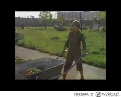 cisza666 - @mirko_anonim: