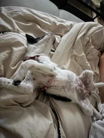 Miszza123 - @Miszza123