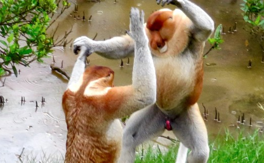 witkacyborewicz - @Mikuuuus: