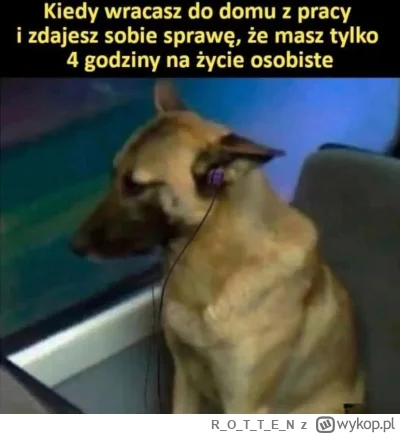ROTTE_N - #heheszki #humorobrazkowy 

Możliwe, że go nawet nie masz.