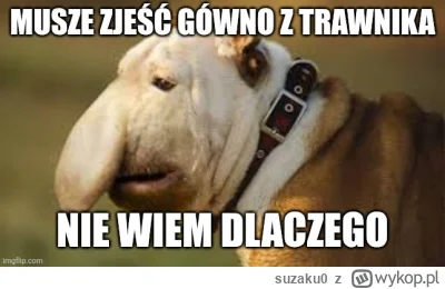suzaku0 - #konkursnanajbardziejgownianymemznosaczem