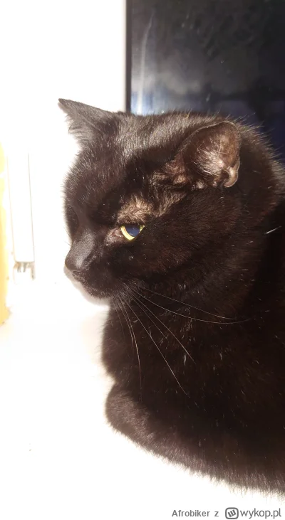 Afrobiker - Reszta zdjęć (⌐ ͡■ ͜ʖ ͡■)

Pierwszy