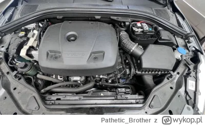 Pathetic_Brother - @rossecki @ziomus13