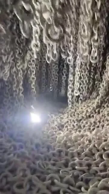 cheeseandonion - #cotojest