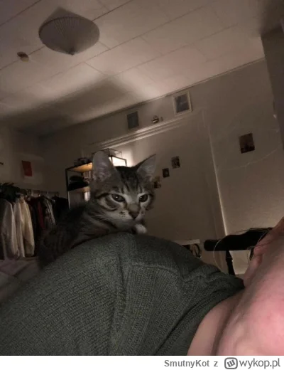 SmutnyKot - #dziwnekotki
