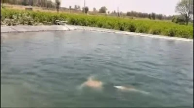 Krole - (ʘ_ʘ)
#trzecieoko