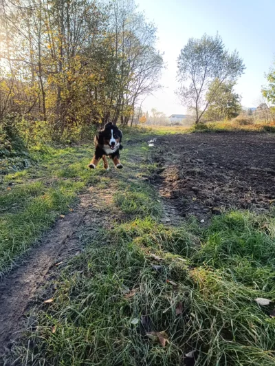 Nupharizar - @simpiara mój się trochę zepsuł.