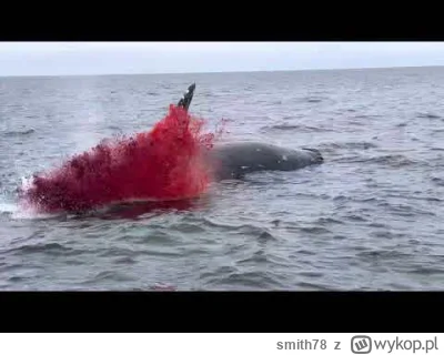 smith78 - >Rosja upada. 3 raz w tym tygodniu.
@johny-sins-milfhunter:
Ruskie są ja...