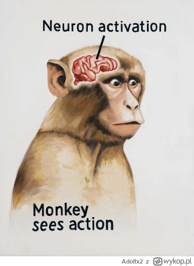 Adolfx2 - #danielmagical Mózg mrugały kiedy dostanie mikrofon