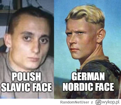 RandomNetUser - #niemcy #polska #heheszki #humorobrazkowy #memy #magik #wehrmacht #po...