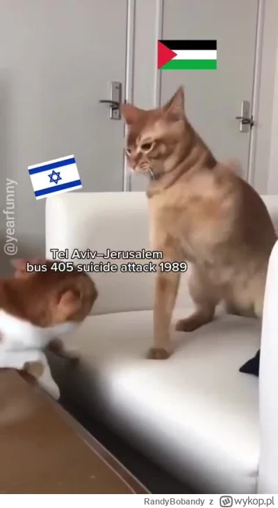 RandyBobandy - Ała bijom biednych arabów ( ͡° ͜ʖ ͡°)
#izrael