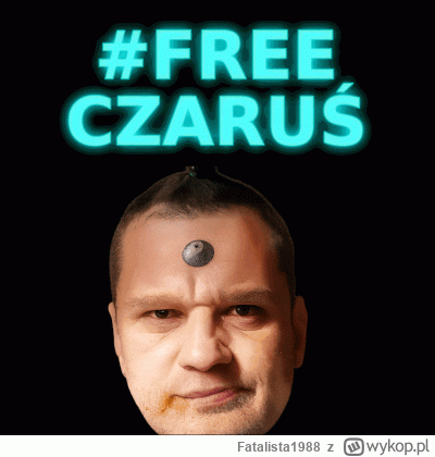 Fatalista1988 - @NonNull: Tu jest potrzebny profesjonalista