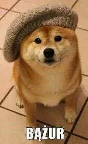 2Girls_1Cup - @Amfidiusz: