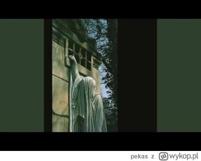 pekas - #muzyka #muzykaelektroniczna #deadcandance #darkwave #darkambient #muzykanado...