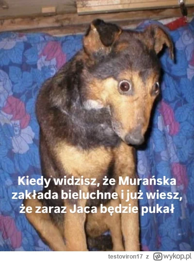 testoviron17 - Sobota 19:02
#famemma