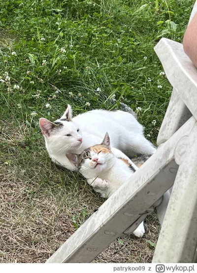 patrykoo09 - @patrykoo09: