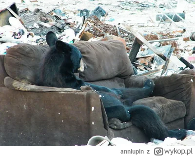 annlupin - to ja do spania ide se dobranoc albo miłego dnia dla was
