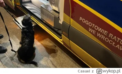 Casuel - Pies uratował życie swojego pana. 71-letni mężczyźna z demencją wyszedł rano...