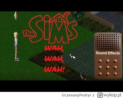 UczesanyPedryl - Jestem prostym człowiekiem, lubię jebnąć się do wyra, zapchać kichę ...