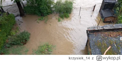 krzysiek_14