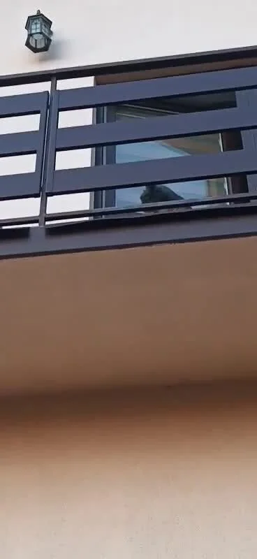 b0dyload - @b0dyload: