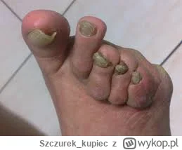 Szczurek_kupiec - #bonzo hejkum stej strony kobra tego typu