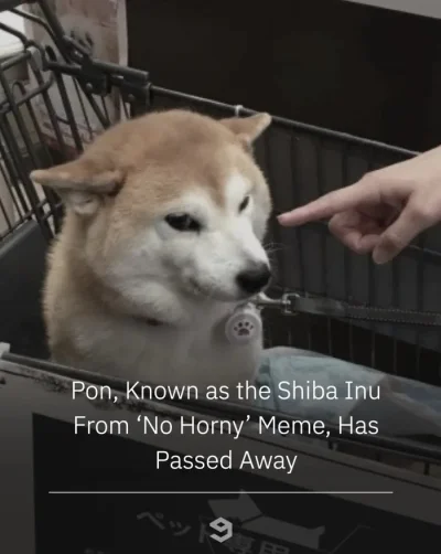 wfyokyga - Spokojnego wiecznego śpiulkolota dla jego